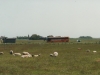Nordfriesland